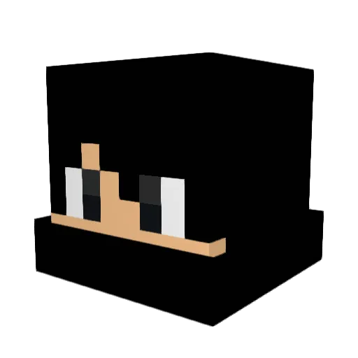 roelli13_10 Minecraft avatar head, 3D render