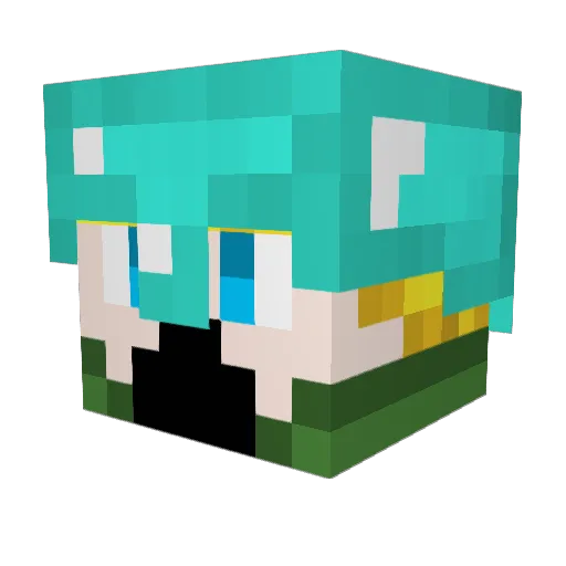 roemerbeelen Minecraft avatar head, 3D render