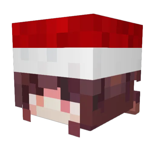 roer26Xd Minecraft avatar head, 3D render