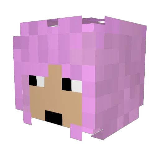rogamemo Minecraft avatar head, 3D render