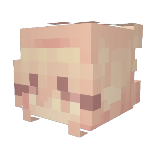rogan1221 Minecraft avatar head, 3D render