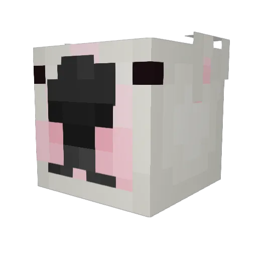 roger_2 Minecraft avatar head, 3D render