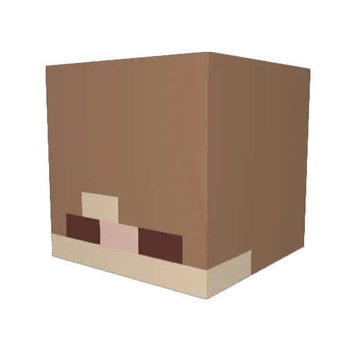rogeri586 Minecraft avatar head, 3D render
