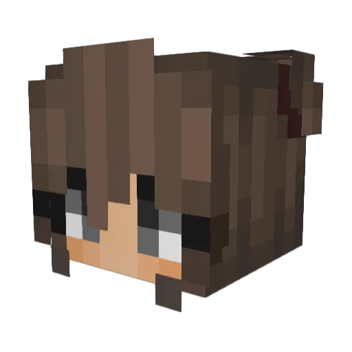 rogerky Minecraft avatar head, 3D render
