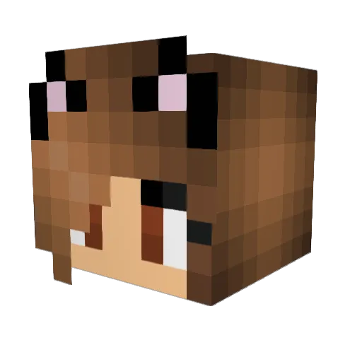 rogersmaracas Minecraft avatar head, 3D render