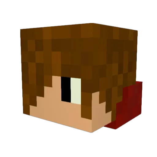 rogue417 Minecraft avatar head, 3D render
