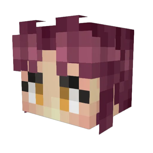 rogue9145 Minecraft avatar head, 3D render