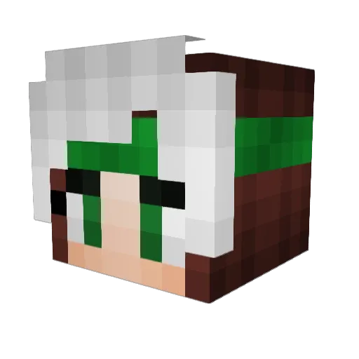 rogueparker Minecraft avatar head, 3D render