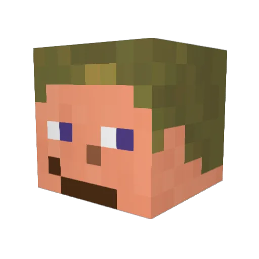rogvi123 Minecraft avatar head, 3D render
