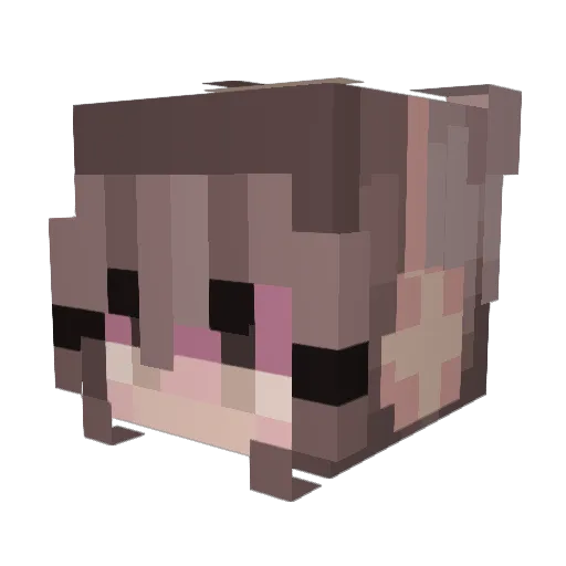 rogxi Minecraft avatar head, 3D render