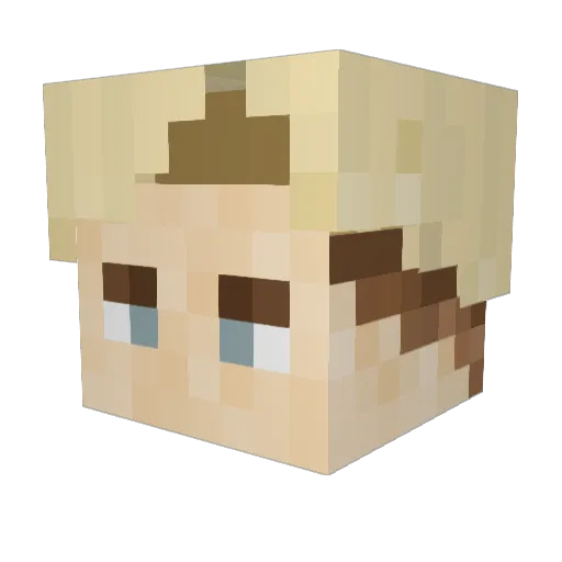 rohan294 Minecraft avatar head, 3D render