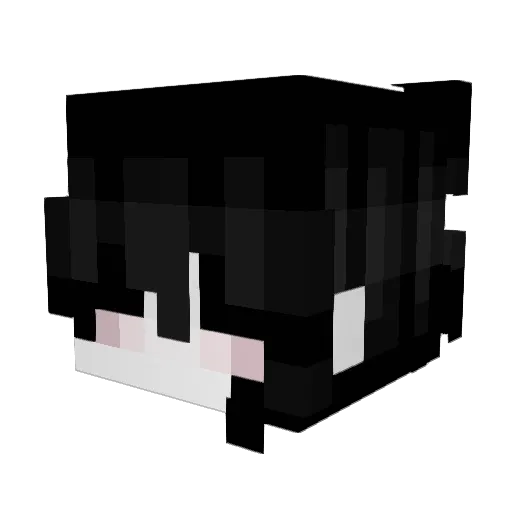 rohbihnson Minecraft avatar head, 3D render
