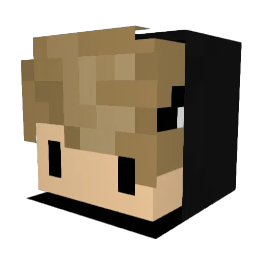 rohey2004 Minecraft avatar head, 3D render