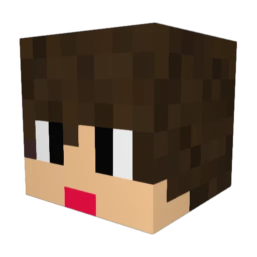 rohimaji Minecraft avatar head, 3D render
