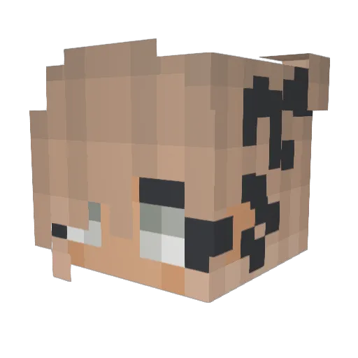 rohooo Minecraft avatar head, 3D render