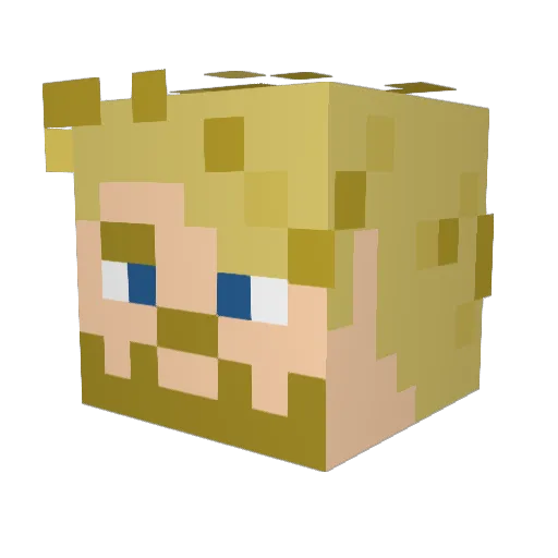 rohrer4 Minecraft avatar head, 3D render