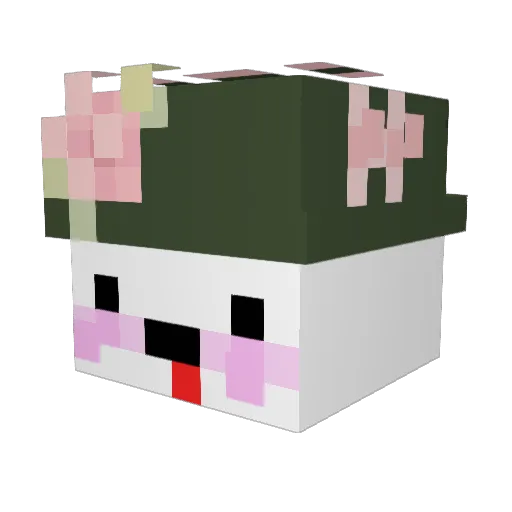 rohxn Minecraft avatar head, 3D render