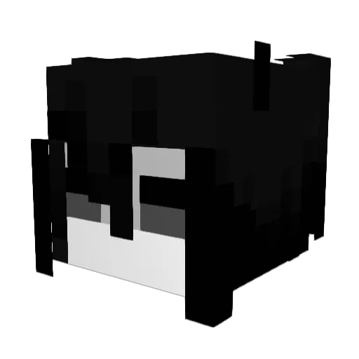 rohyyol Minecraft avatar head, 3D render