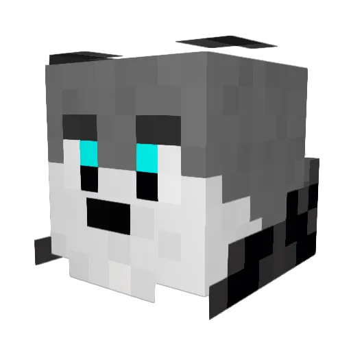 roicraft2000 Minecraft avatar head, 3D render
