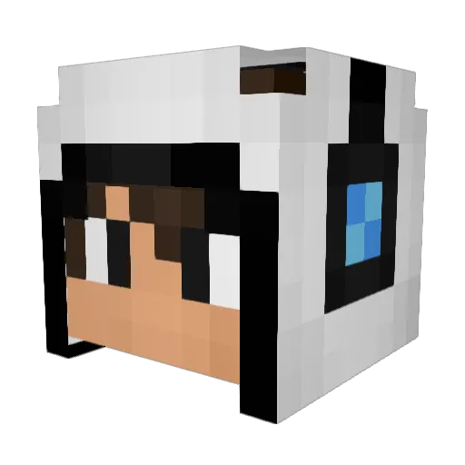 roid01 Minecraft avatar head, 3D render