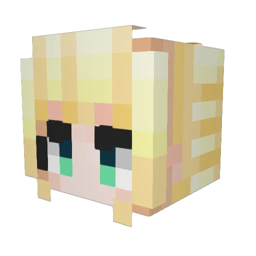 roint Minecraft avatar head, 3D render
