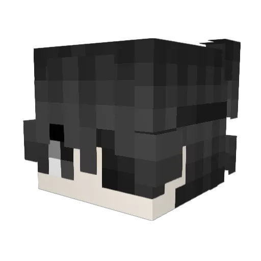 roisee Minecraft avatar head, 3D render