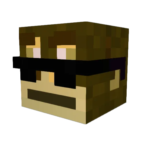 rojask777 Minecraft avatar head, 3D render