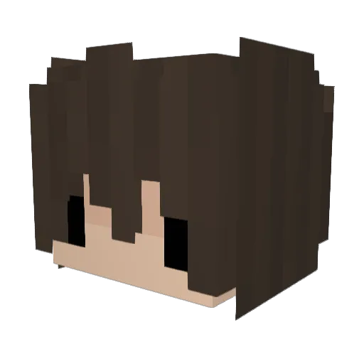 rojass0 Minecraft avatar head, 3D render