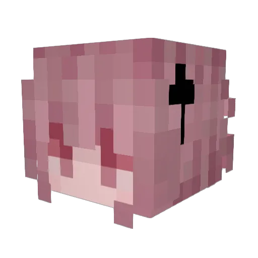 rojduuh Minecraft avatar head, 3D render