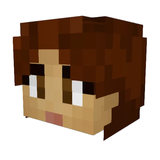 rokachett Minecraft avatar head, 3D render