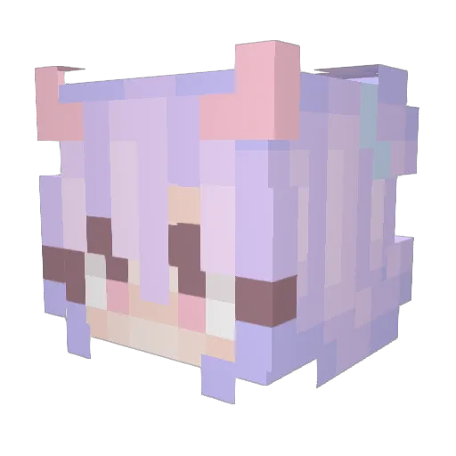 rokafox_ Minecraft avatar head, 3D render