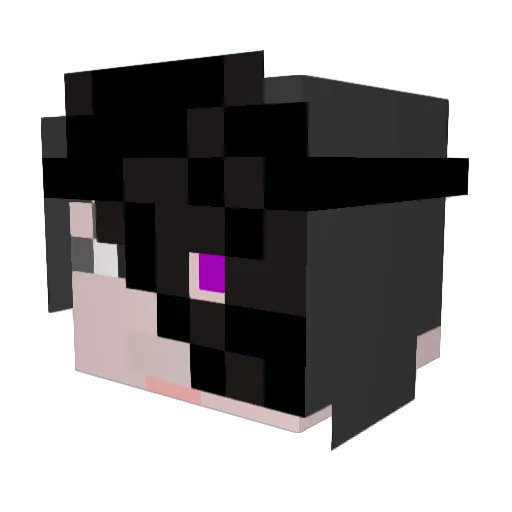 rokee Minecraft avatar head, 3D render