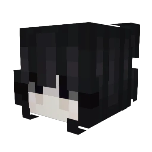 rokera Minecraft avatar head, 3D render