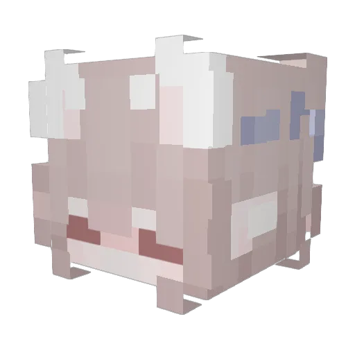 rokipon Minecraft avatar head, 3D render