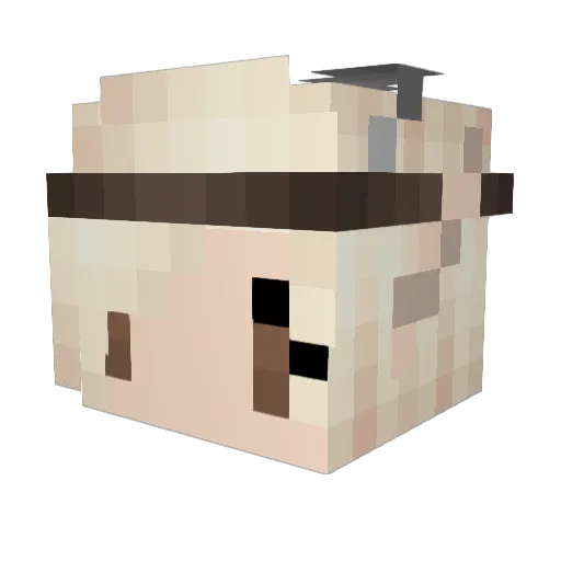 rokopop Minecraft avatar head, 3D render