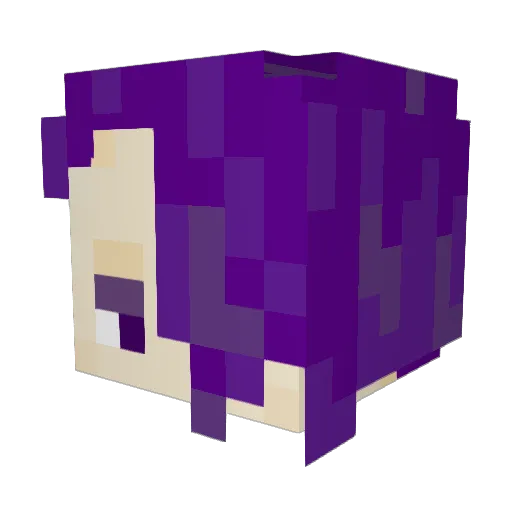 roku_h Minecraft avatar head, 3D render