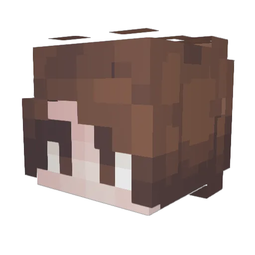 rokutya6 Minecraft avatar head, 3D render