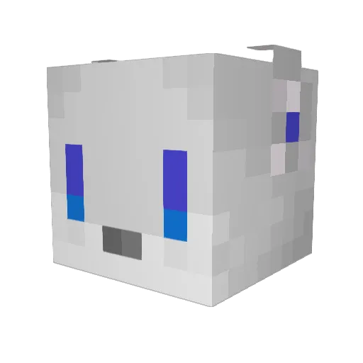 rokymv Minecraft avatar head, 3D render