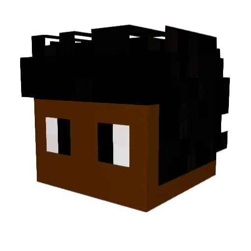 rolajimmy Minecraft avatar head, 3D render