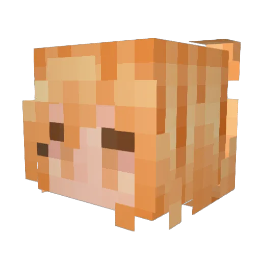 rolands666 Minecraft avatar head, 3D render