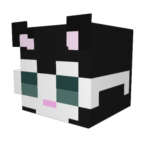 rolexcartier Minecraft avatar head, 3D render