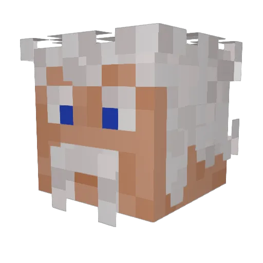 rolfbottger12 Minecraft avatar head, 3D render