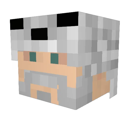 rolfrofl Minecraft avatar head, 3D render