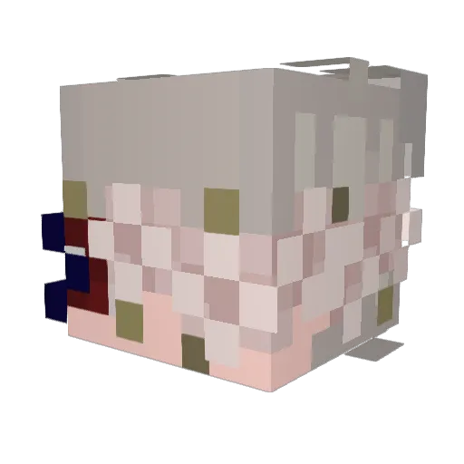roll201 Minecraft avatar head, 3D render