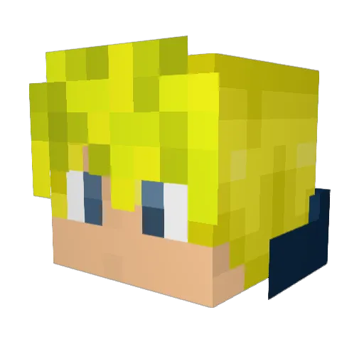 rolledupsocks Minecraft avatar head, 3D render