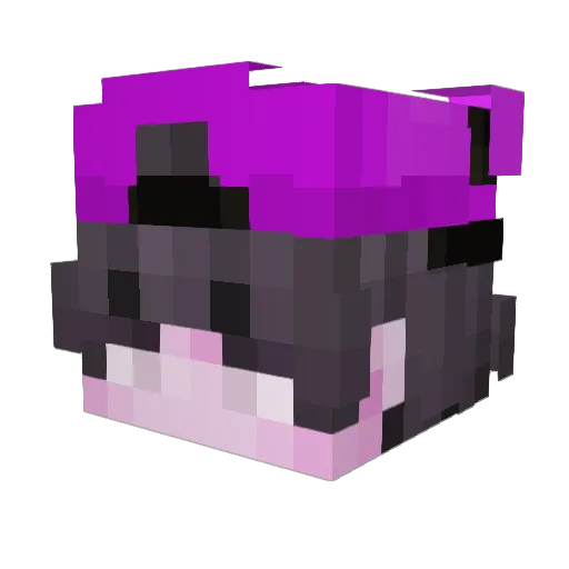 rollerboy861 Minecraft avatar head, 3D render