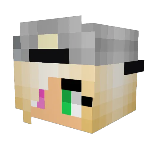 rollercoaster002 Minecraft avatar head, 3D render
