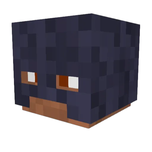 rollex2468 Minecraft avatar head, 3D render