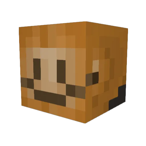 rolliebug Minecraft avatar head, 3D render
