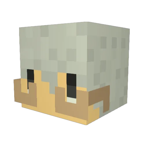 rollo1204 Minecraft avatar head, 3D render